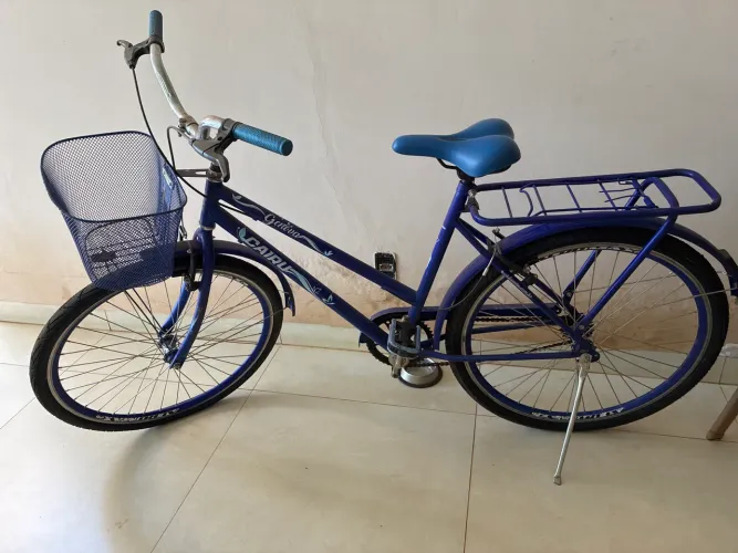 Bicicleta garupa/ cestinha