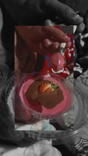 Mousse Gourmet