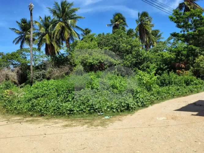 Terreno de Esquina à Venda Próximo à Orla Pôr do Sol no Mosqueiro
