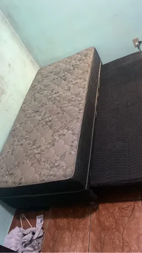 Bi cama