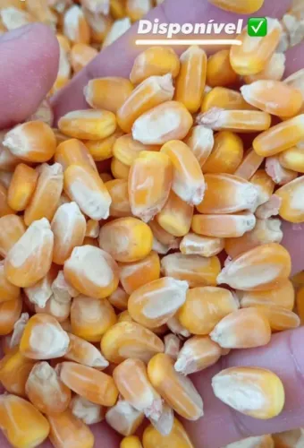 Venda de Produtos Agricolas Direto da Fazenda