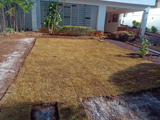 Jardinagem  Podas  extração de árvores Plantio de gramas