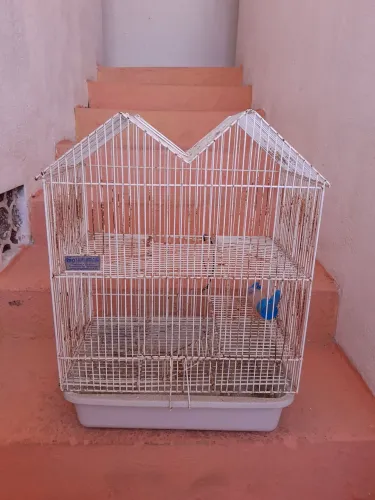 Gaiola