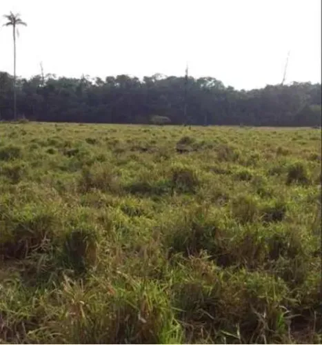 Área Rural para Venda em Candeias do Jamari, Triunfo