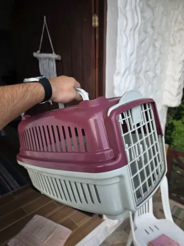 Caixa de transporte para Pet porte P