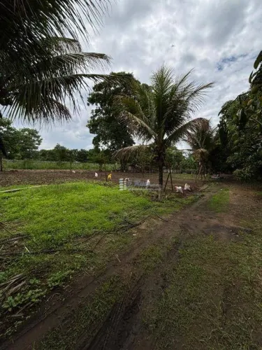 Sítio com 1 dormitório à venda, 45000 m² por R$ 1.500.000,00 - Rural - Serra Azul/SP