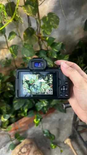 Canon m50