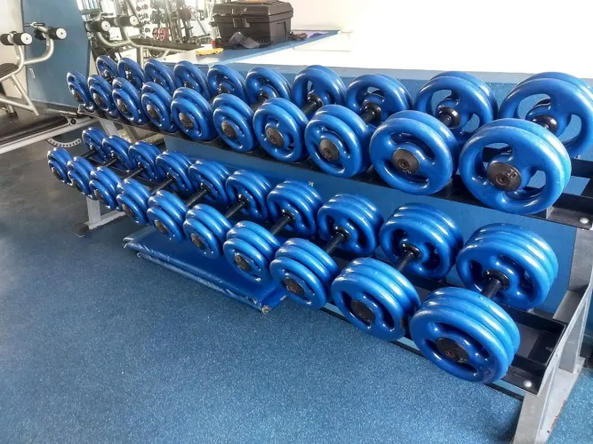Kit dumbbells de 11 a 30kg emborrachado azul com suporte 