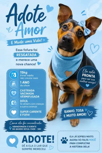 Doação Filhote Fêmea 