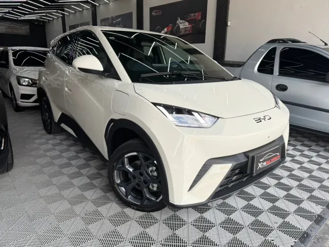 BYD Dolphin Mini (Elétrico) 2027