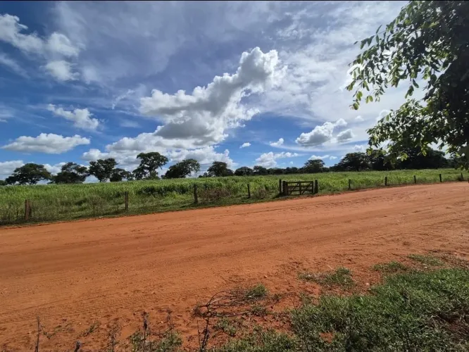 Fazenda em santa vitória