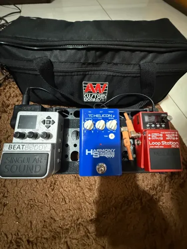 Board completo rc5 harmony singer beatbuddy