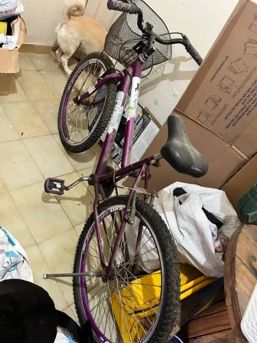 Bicicleta nova