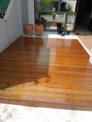 Pintor profissional