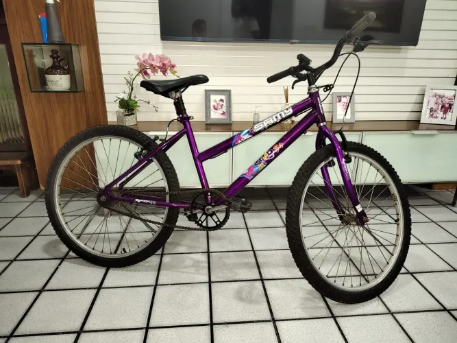 Vendo Bicicleta Samy Aro 26
