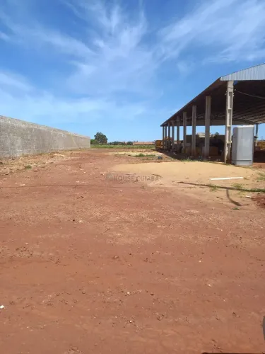 Dois terrenos um de fundos para o outro com excelente localização logística na c