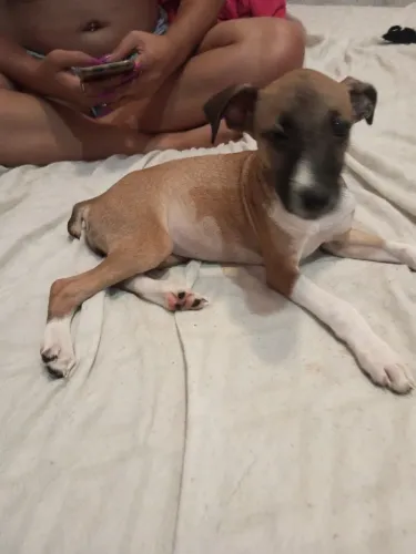 Preciso de pessoas que saibam o que é um amor verdadeiro 