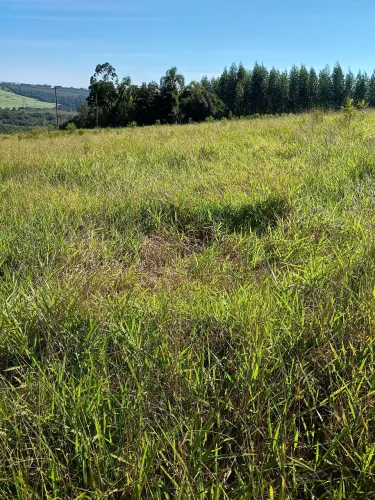 Vendo Excelente terreno de 10.000 m² -Oportunidade. Única!