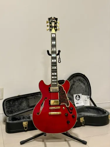 Guitarra Semiacústica DAngelico Excel DC Mini + Case, Tags e Strap Lock.