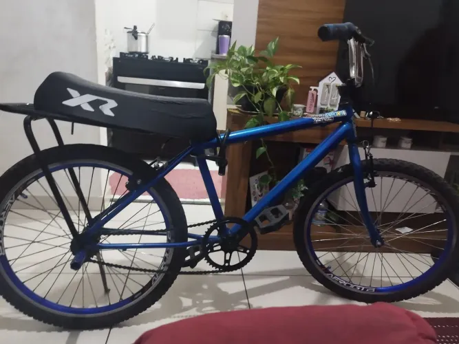 Bicicleta montadinha
