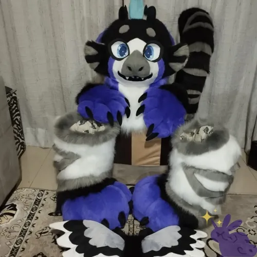 Fursuit dutch angel dragon reservado