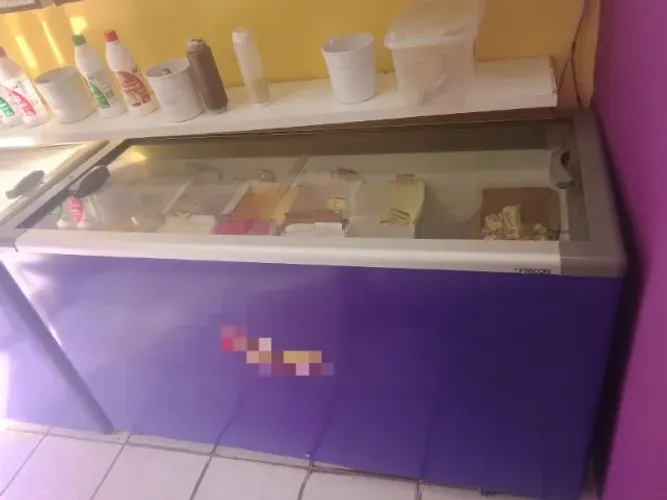 FREEZER FRICON 504 LIT'ROS