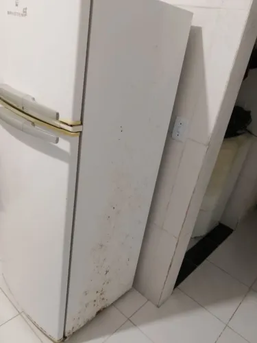 Geladeira  220volts