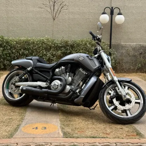HARLEY-DAVIDSON V-ROD MUSCLE 1250cc 2014/2014