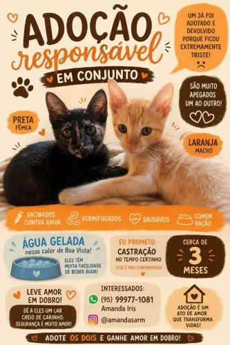 Irmãos p adoção