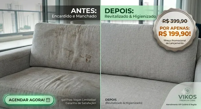 Higienização e Limpeza Profissional de Sofá (Promoção de Férias) ?