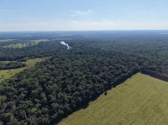 Área de 86 hectares
