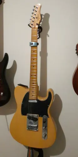 Tagima telecaster TW - 55