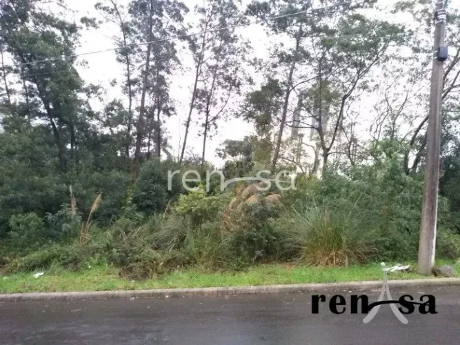 Terreno, Desvio Rizzo, Caxias do Sul