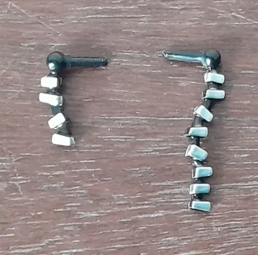 Brincos Frankie 1600