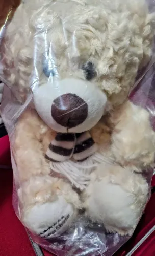 Urso cacau show
