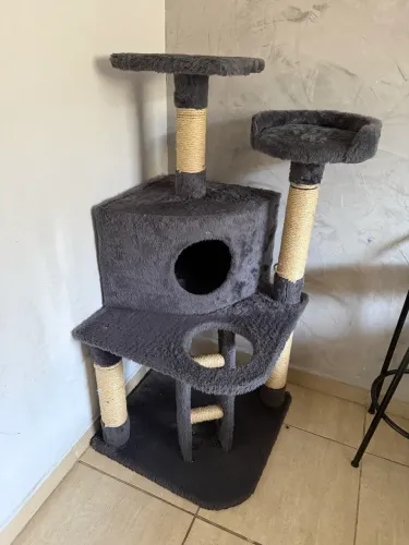 Arranhador casinha para gatos