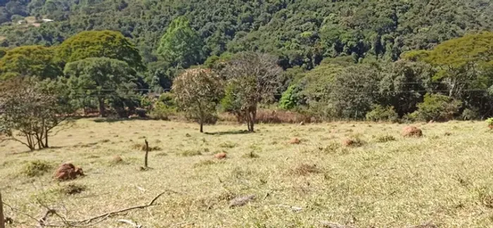 Sítio Com 31 hectares / Antônio dos Santos - Água Limpa - Caeté MG.