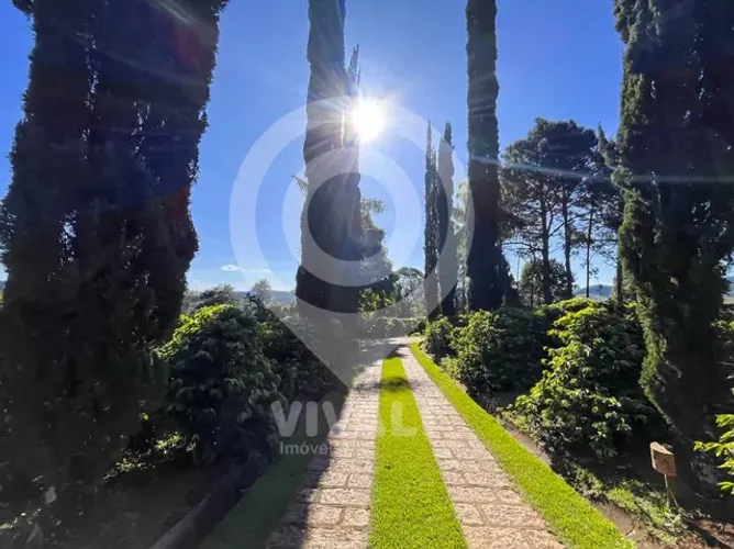 Sítio 2 Alqueires 2 Casas, 20mil pés de café, 40mil de renda/mês. Porteira fechada.