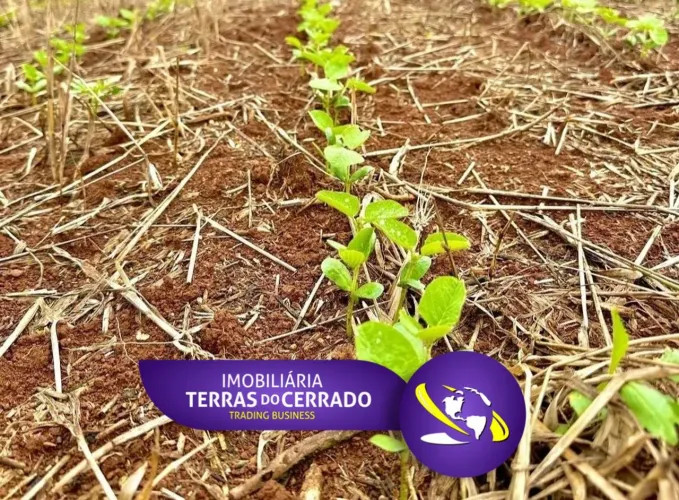 FAZENDA COM 500HEC PRA LAVOURA, IRRIGADA!!