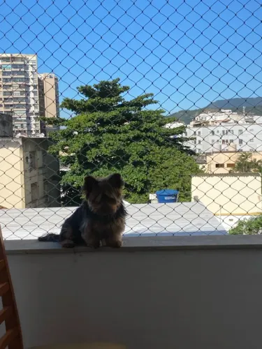 Rede de proteção a partir de 80,00 / tela mosquiteiro / concertina 