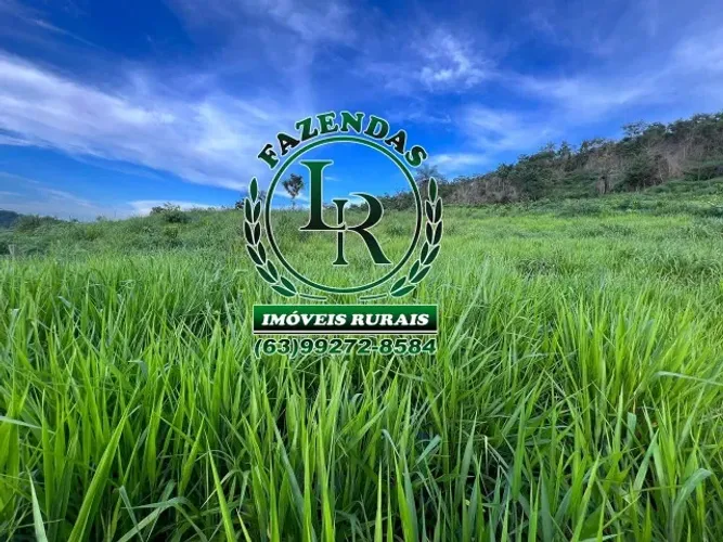 Excelente Chácara 10 Alqueires