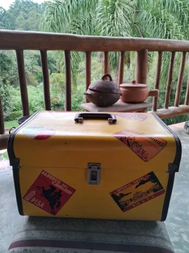 Baú vintage retrô