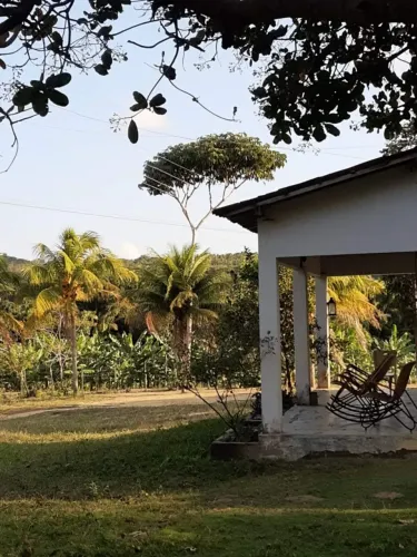 Vendo 4,5 hectares,  4 km da BR 101, MATARACA 