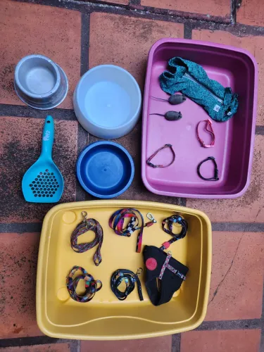 Coleira , caixa de areia, comedouro gatos 