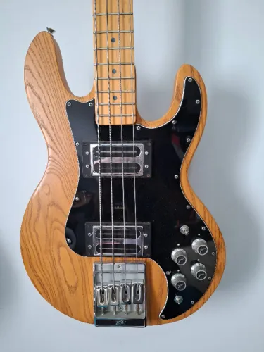 Peavey T40 T-40 - Jaco Pastorius