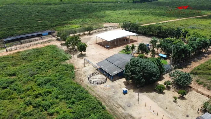 Fazenda de 1.200 hec em novo progresso PA. 800 abertos escriturada.26 milhões.