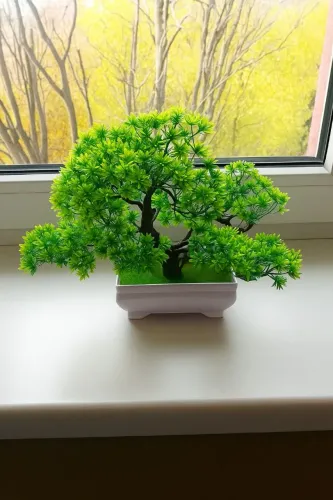 Bonsai árvore de decoração 