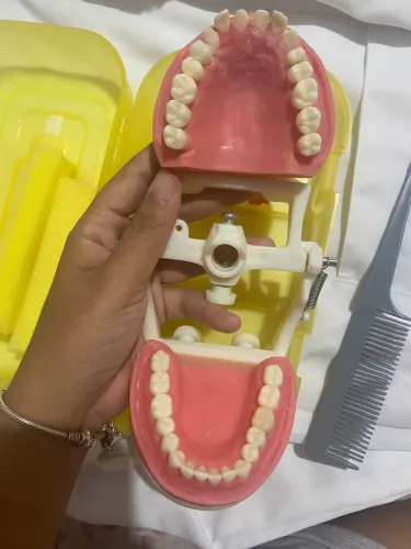 Manequim odontológico Pronew Dentistica