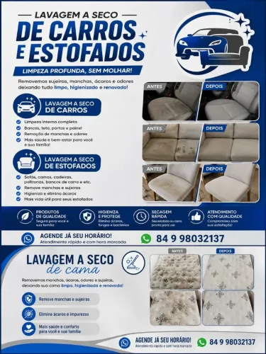 Lavagem a seco