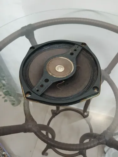 Auto falante Do rádio Polyvox RG 800